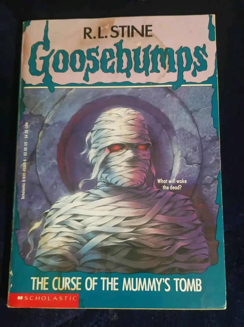 Colección de libros Escalofríos de R.L. Stine - 6