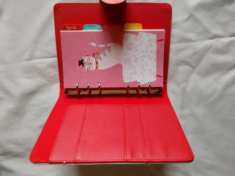 Set de cuadernos organizadores con diseño de gato - 2