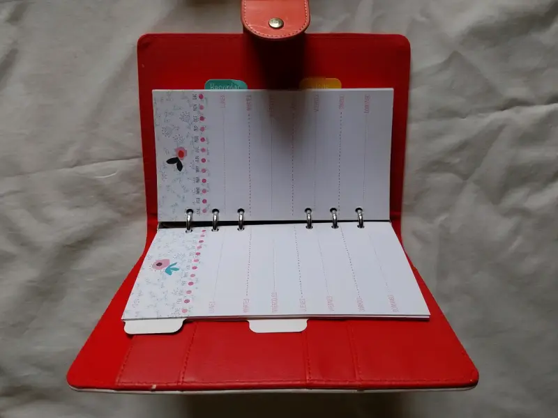 Set de cuadernos organizadores con diseño de gato - 3