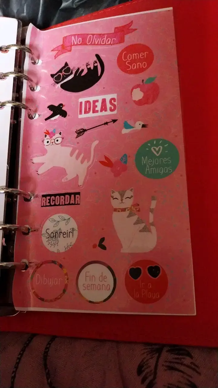 Set de cuadernos organizadores con diseño de gato - 4