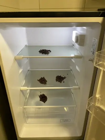 Refrigerador compacto con puerta de vidrio - miniatura 1