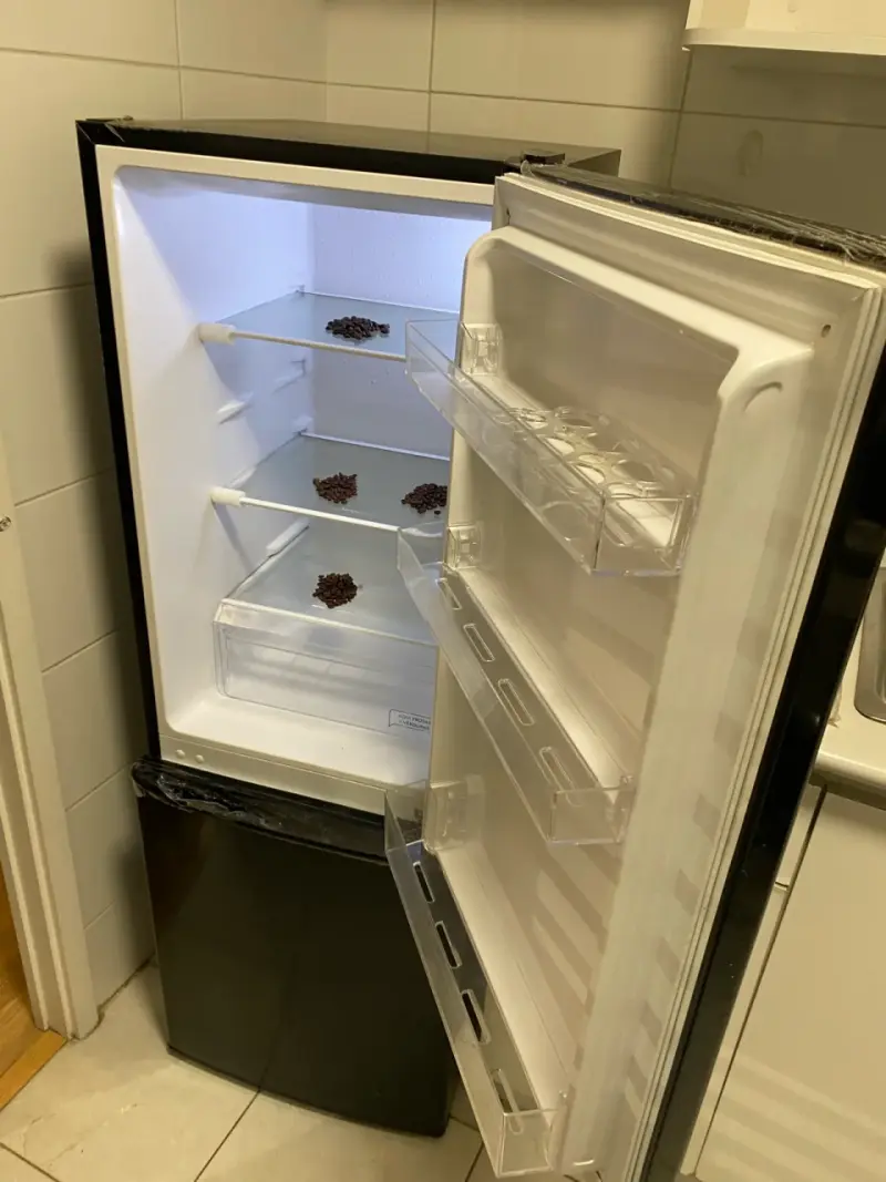 Refrigerador compacto con puerta de vidrio - 4