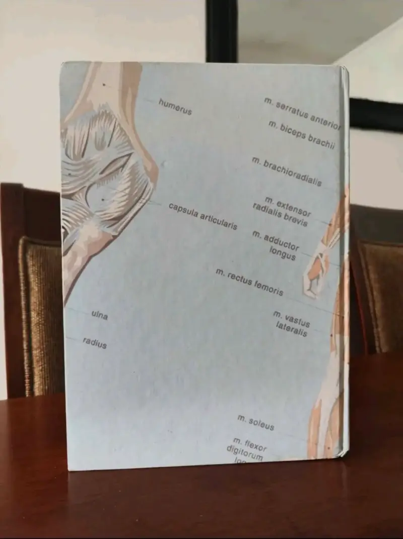 Libro Diccionario de Medicina Buen estado - 3