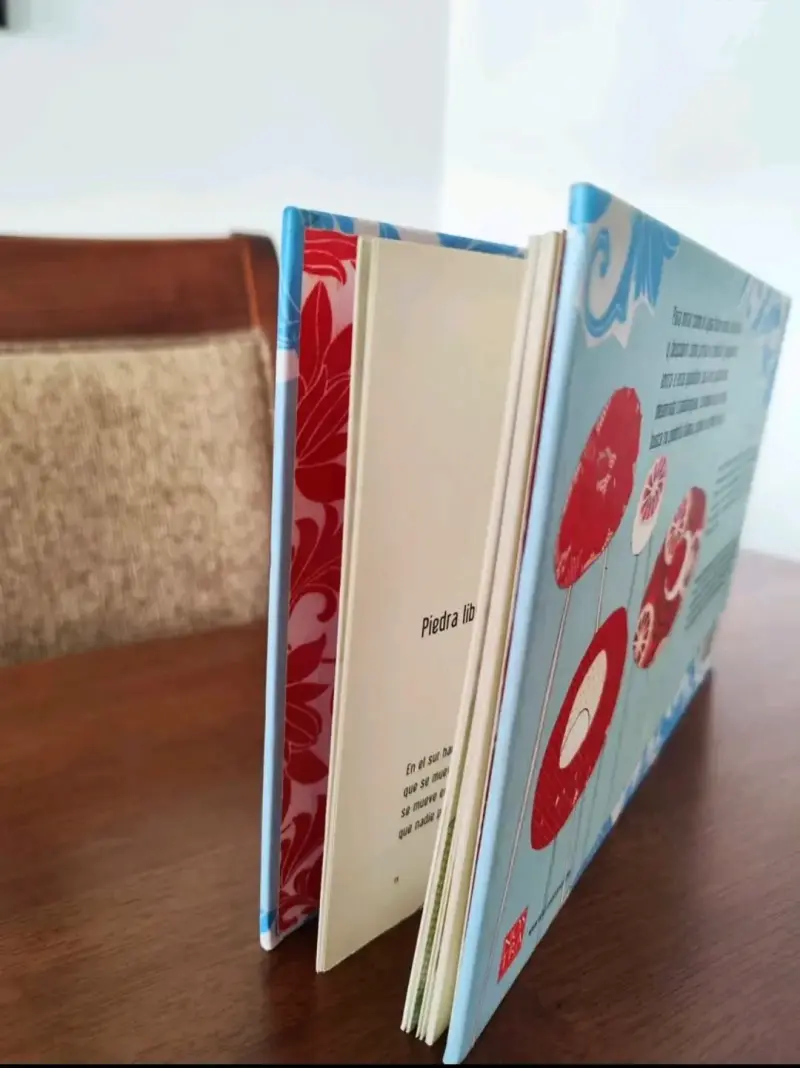 Libro infantil Rondas del agua de María Cristina - 5