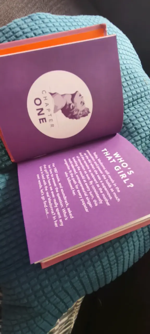 Libro 'The Little Guide to Madonna' en buen estado - 2