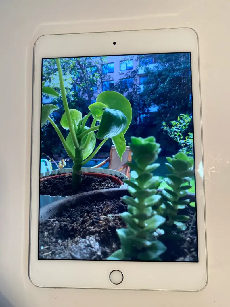 iPad Mini 4 128GB  perfecto estado - 6