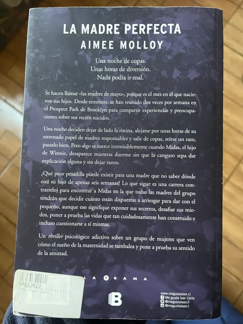 Libro 'La Madre Perfecta' de Aimee Molloy - 2