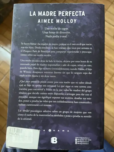 Libro 'La Madre Perfecta' de Aimee Molloy - miniatura 2