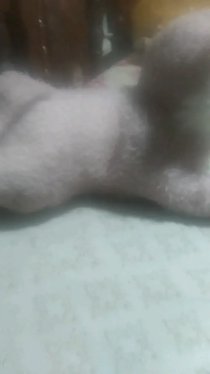 Peluche de oso suave y tierno - 3