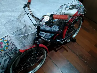 Bicicleta Oxford Cyclotour con Canasto - miniatura 1