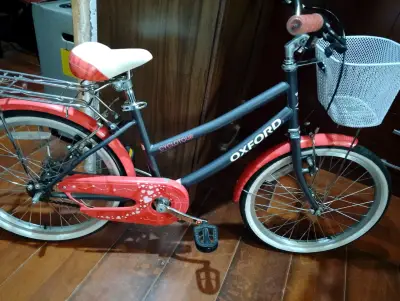 Bicicleta Oxford Cyclotour con Canasto - miniatura 2