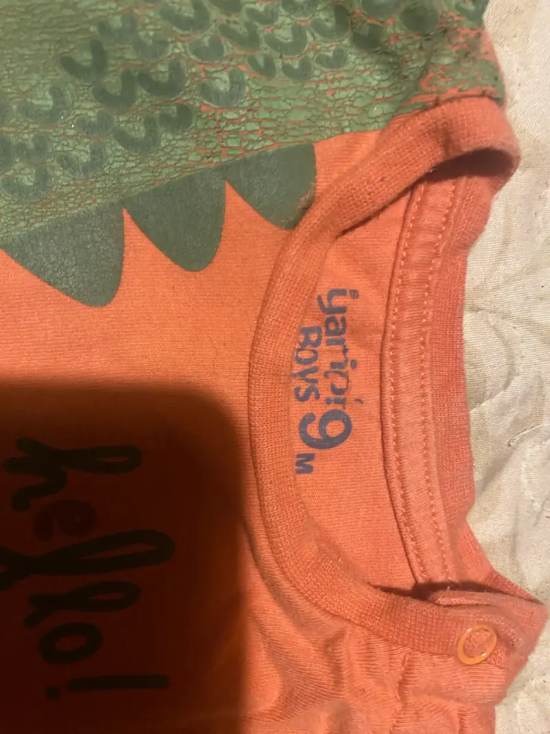 Polera de niño con diseño de dinosaurio - 1