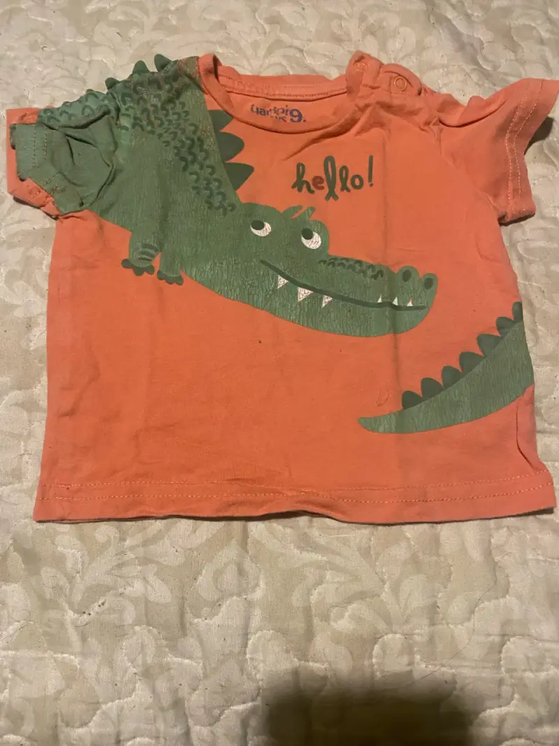 Polera de niño con diseño de dinosaurio - 2