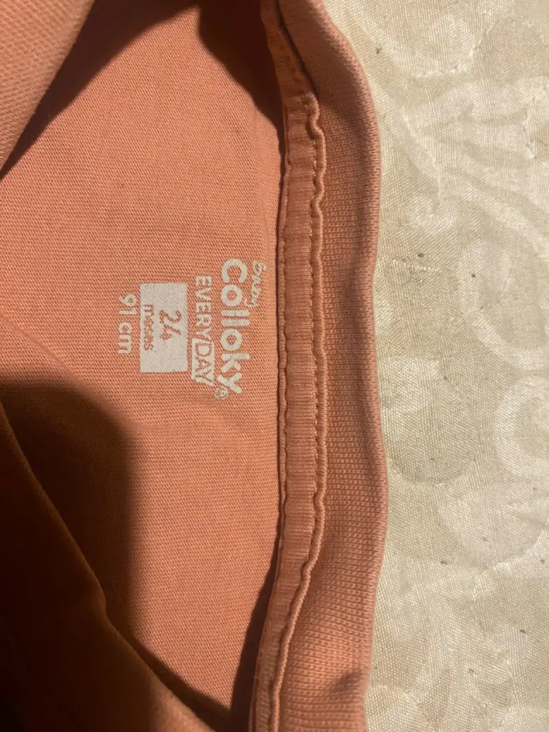 Polera manga larga infantil con diseño de león - 2