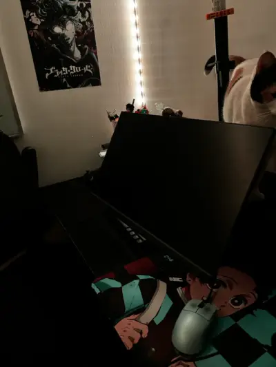 Monitor Asus Rog 310hz - miniatura 1