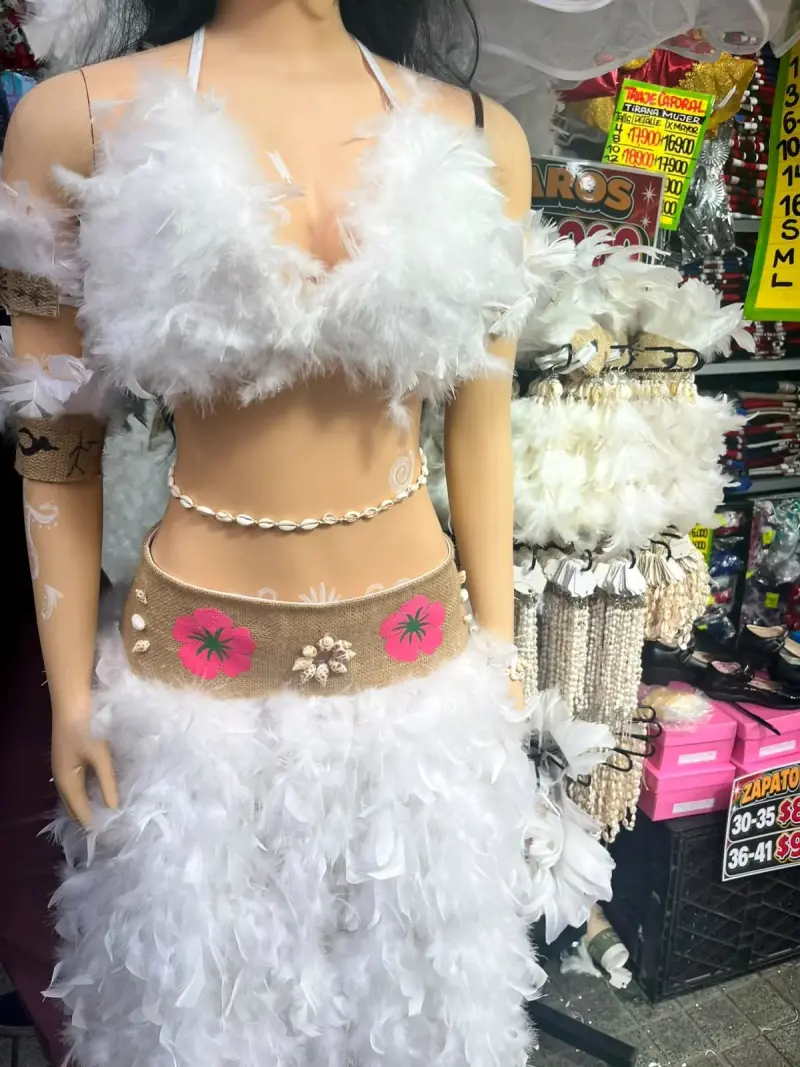 Disfraz de carnaval con plumas blancas