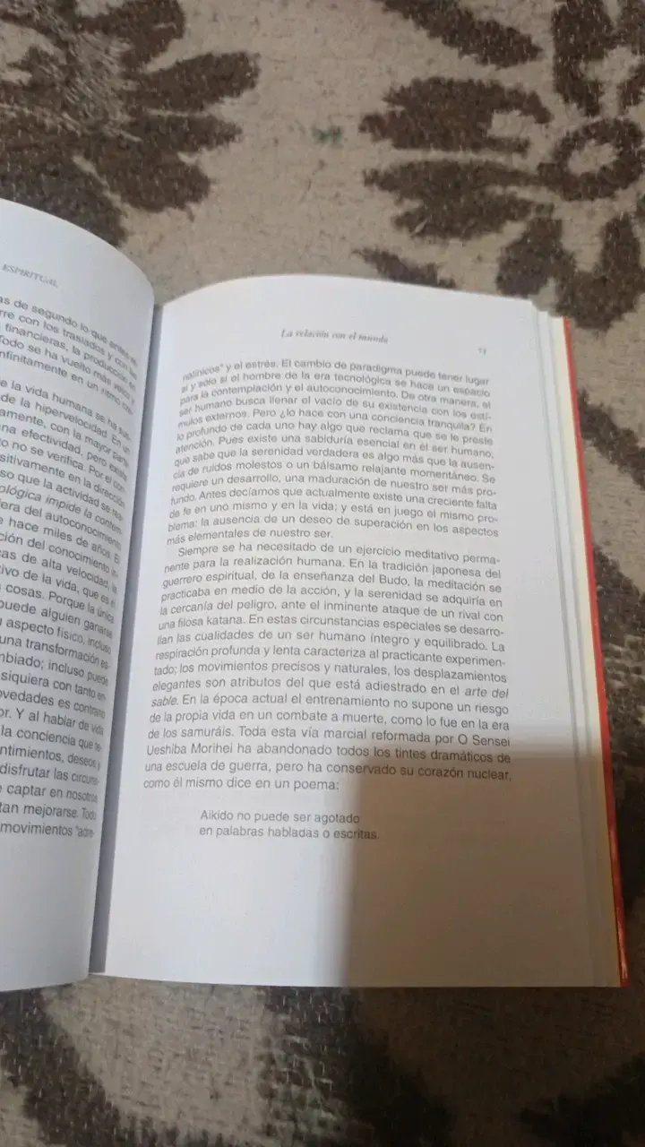 Libro El Guerrero Espiritual de Sakanashi Masafumi - 3