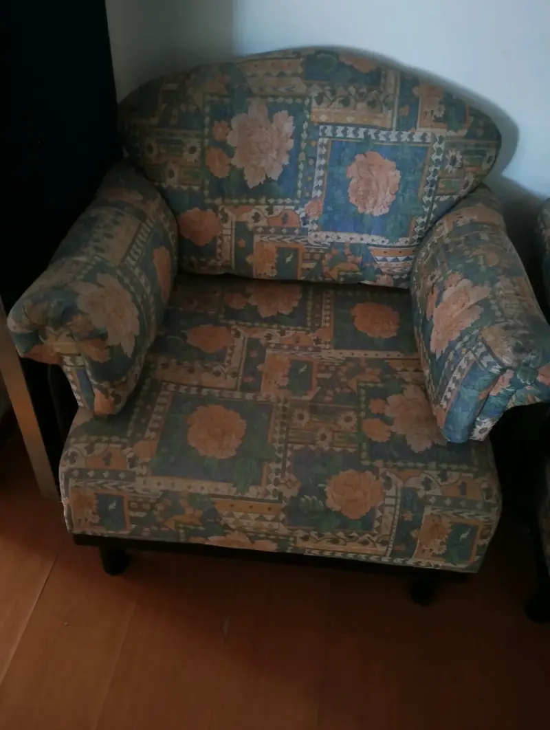Sillón y sofá estampados vintage en buen estado - 1