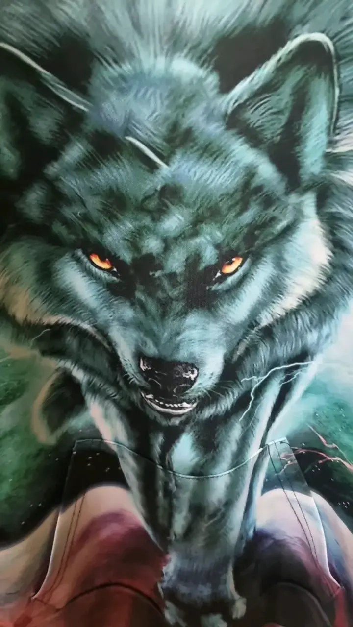Polerón con capucha diseño lobo Funnycokid - 2