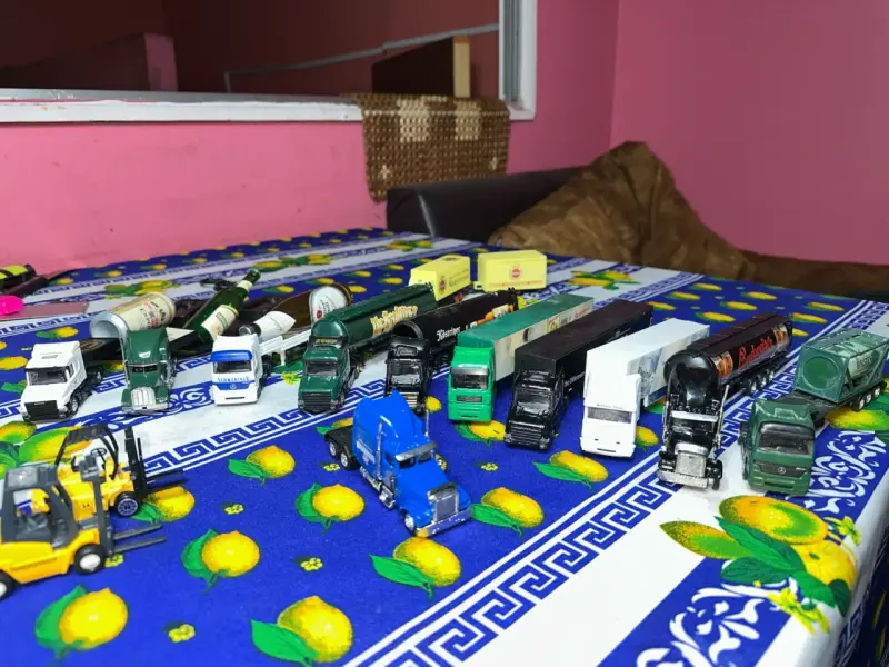 Colección de camiones miniatura variados - 3
