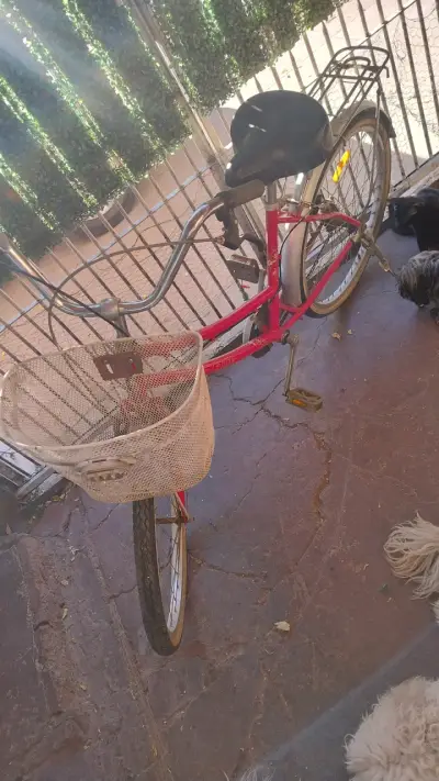 Bicicleta vintage roja con canasto - miniatura 1