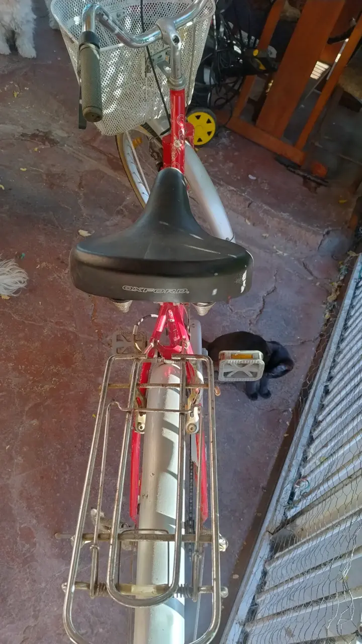 Bicicleta vintage roja con canasto - 2
