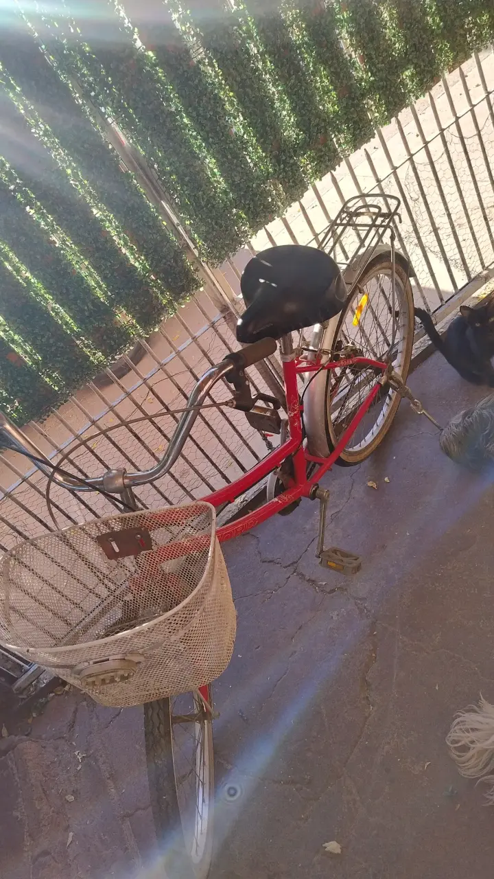 Bicicleta vintage roja con canasto - 3