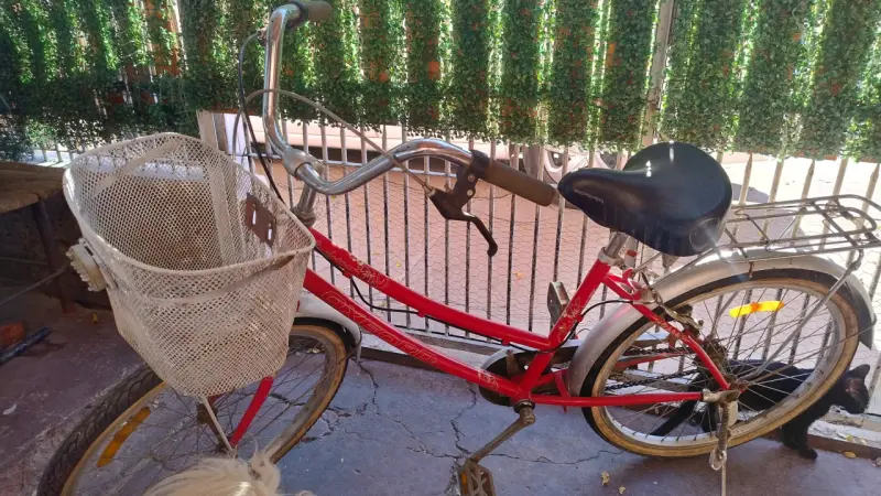 Bicicleta vintage roja con canasto - 4