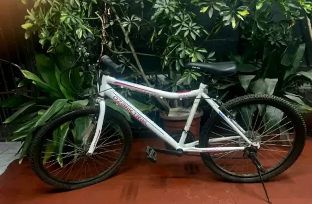 Bicicleta Ozark trail aro 26 - 2