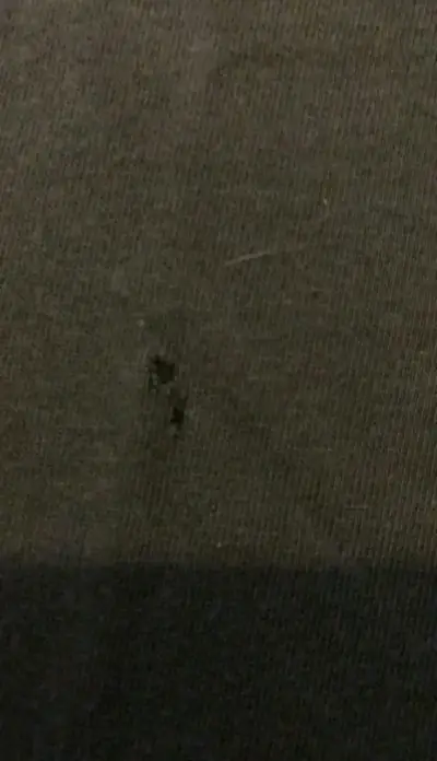 Polera verde Western Hotel & Spa - miniatura 4