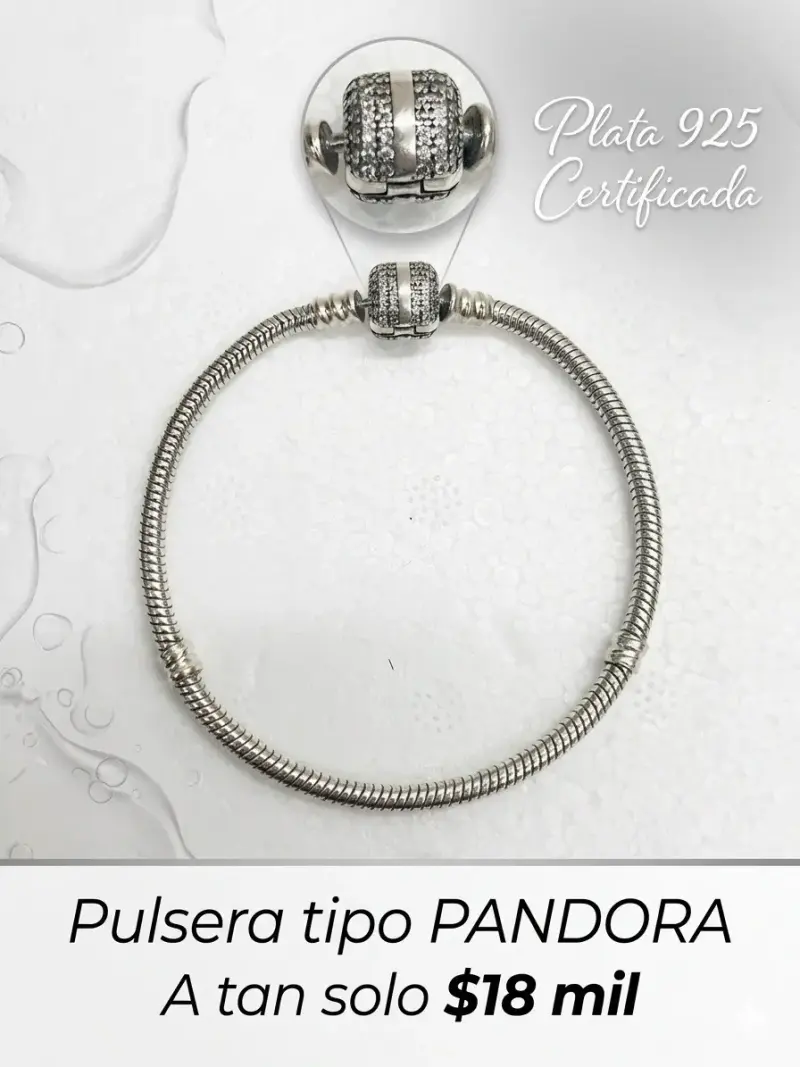 Pulsera de plata 925 tipo Pandora