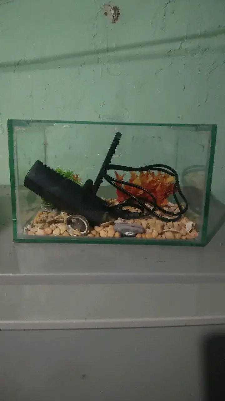 Acuario pequeño con filtro y decoración - 1