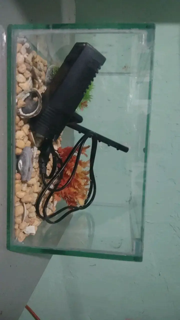 Acuario pequeño con filtro y decoración - 2