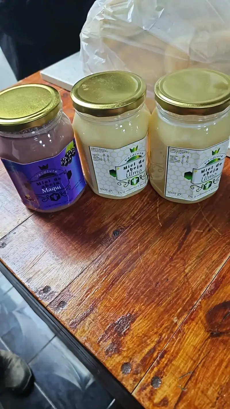Set de Miel de Ulmo y Maqui Valdivia 1000g