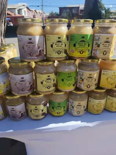 Variedad de miel de abeja Valdivia 1000g - miniatura 1