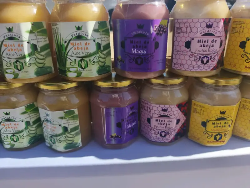 Variedad de miel de abeja Valdivia 1000g - 4