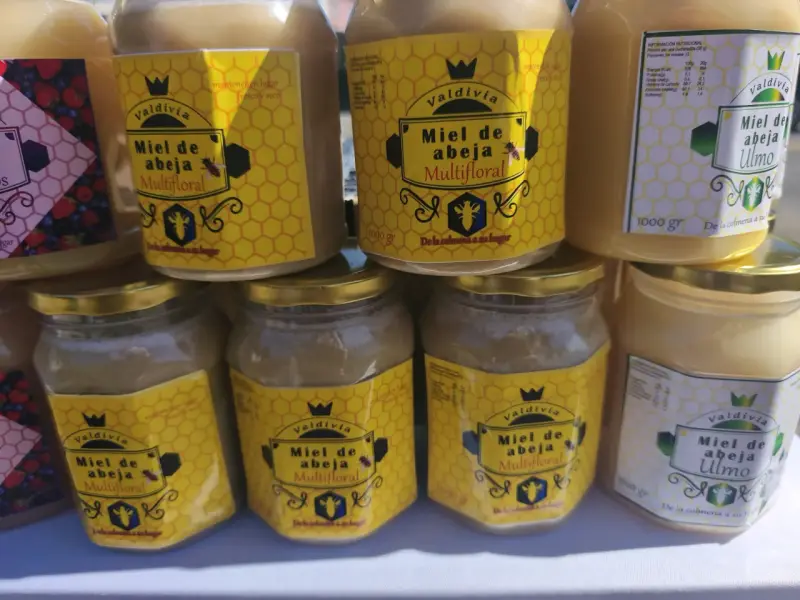 Variedad de miel de abeja Valdivia 1000g - 5