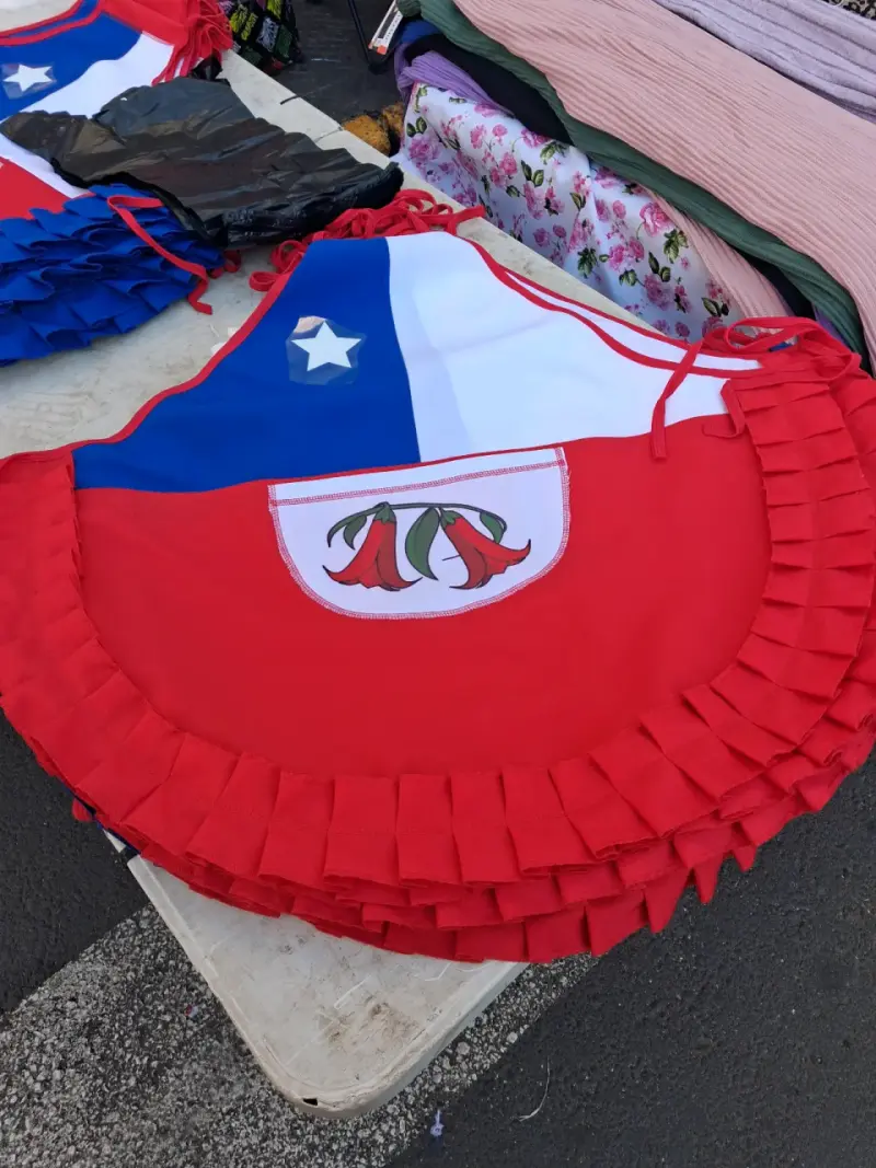 Delantal de cocina con diseño de bandera chilena - 1