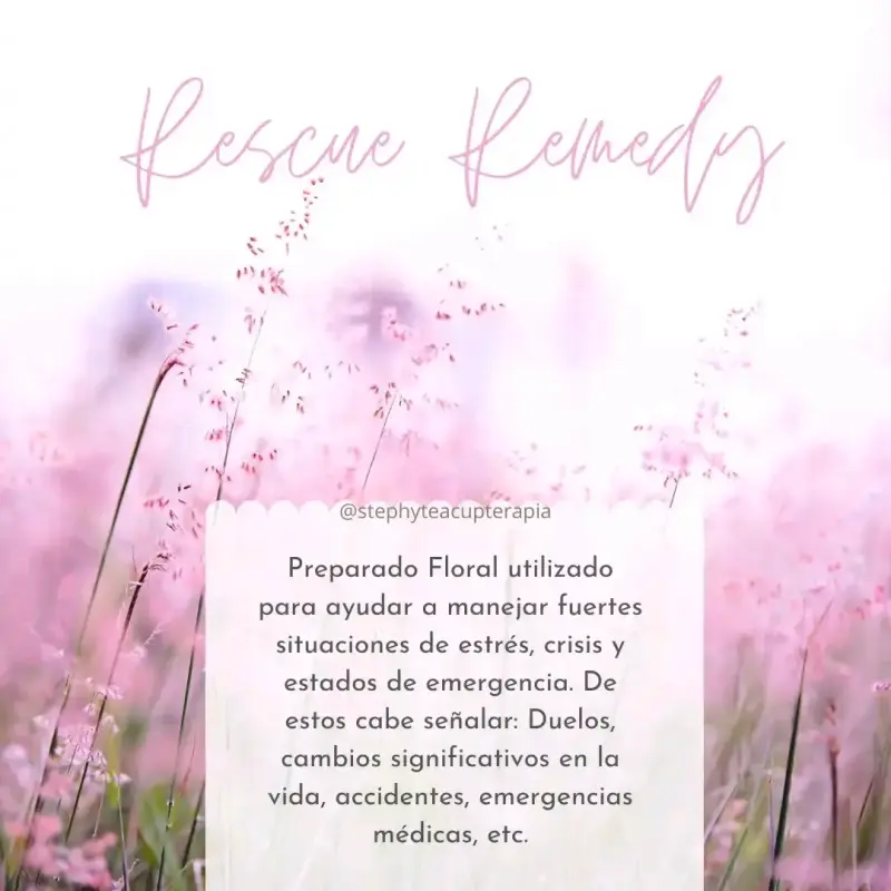 Terapia Floral de Bach para Equilibrio Emocional - 3