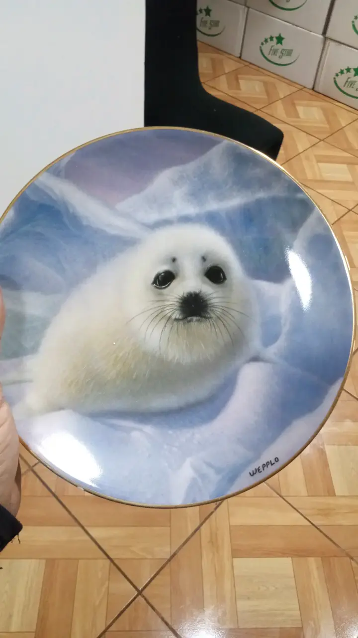 Plato decorativo de porcelana con diseño de foca - 1