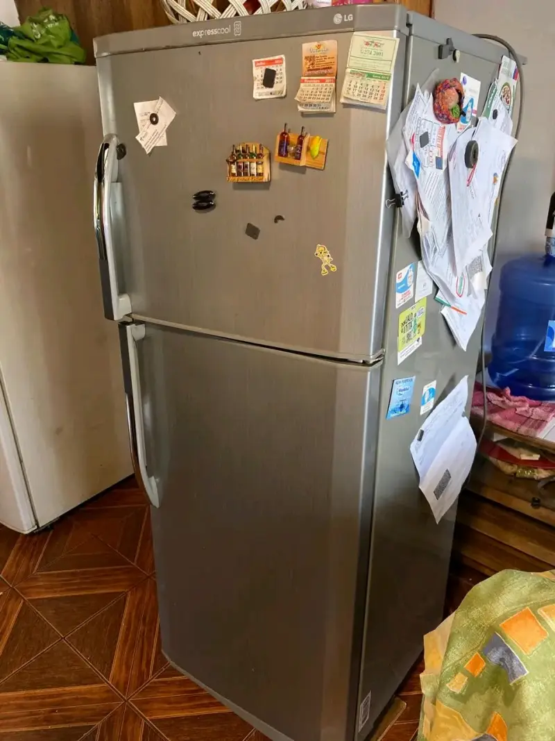 Refrigerador LG de dos puertas en buen estado - 3