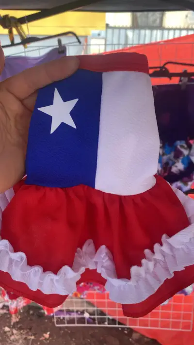 Vestido para mascota 18 septiembre - miniatura 2