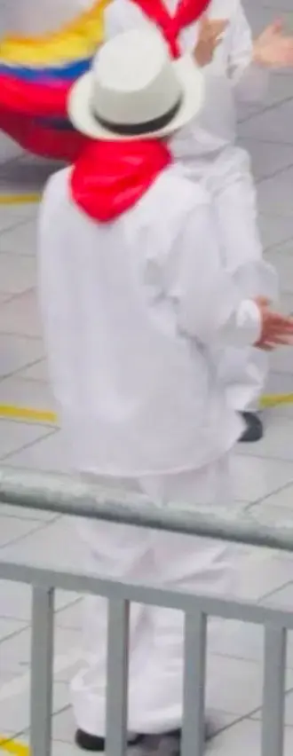 Trajes típicos folclóricos para presentaciones - 6