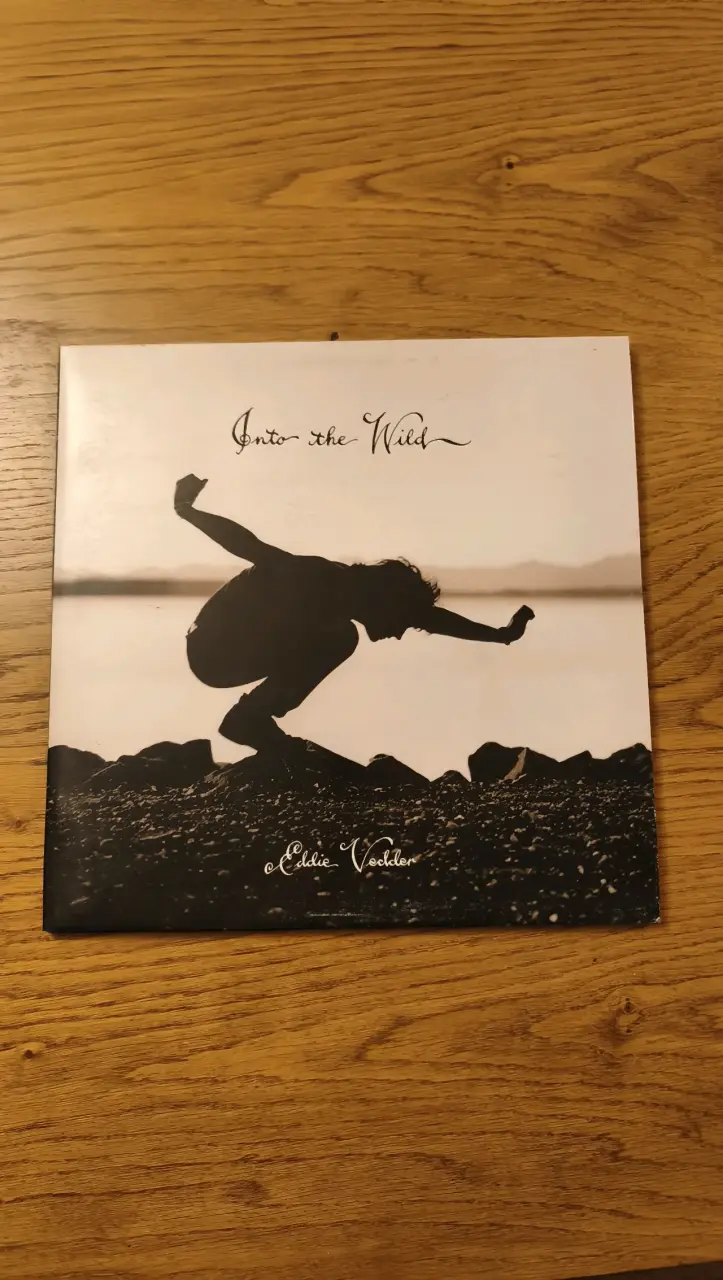 Vinilo Eddie Vedder Into the Wild - 1