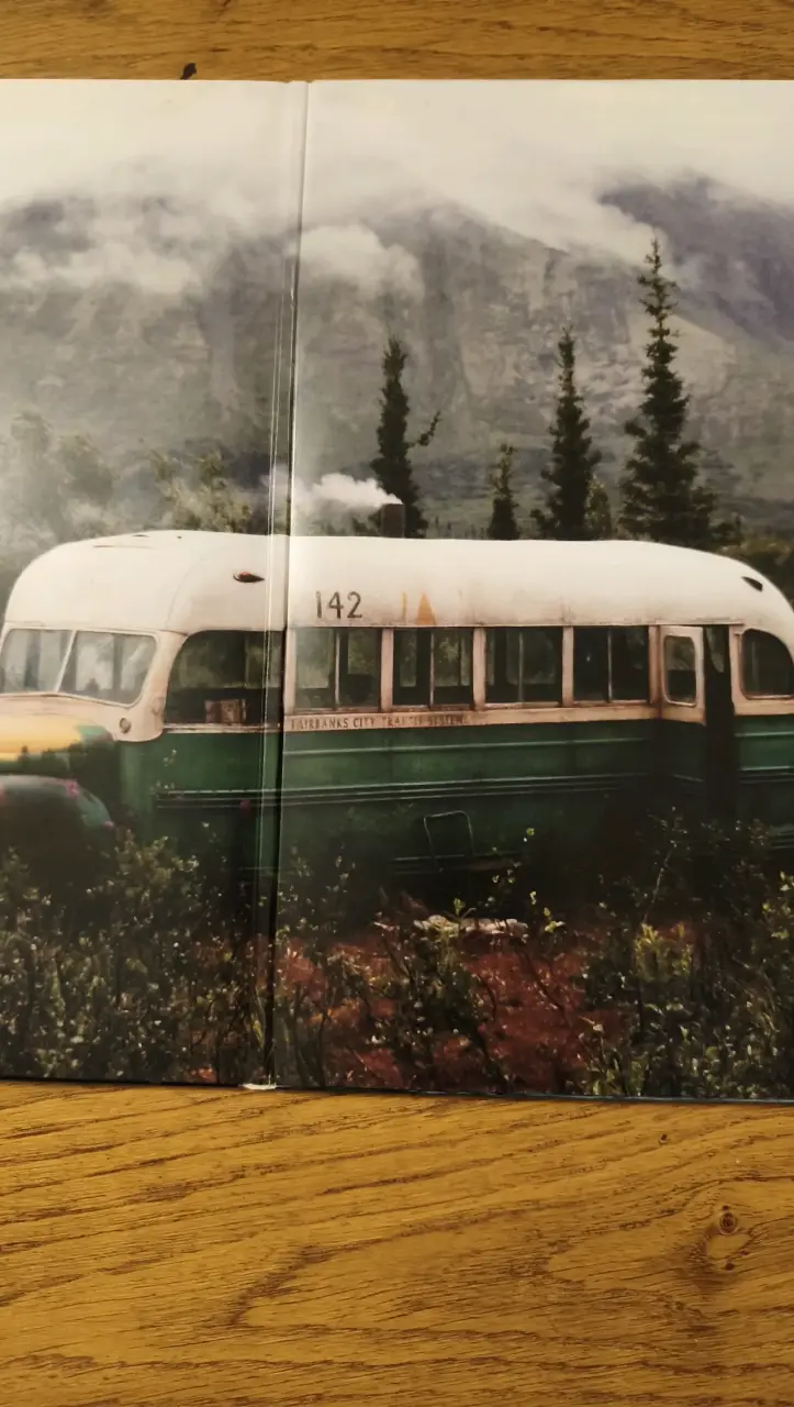 Vinilo Eddie Vedder Into the Wild - 2