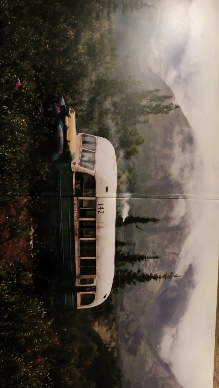 Vinilo Eddie Vedder Into the Wild - 3