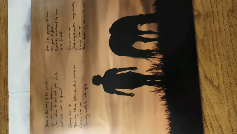 Vinilo Eddie Vedder Into the Wild - 5