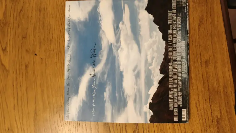 Vinilo Eddie Vedder Into the Wild - 6