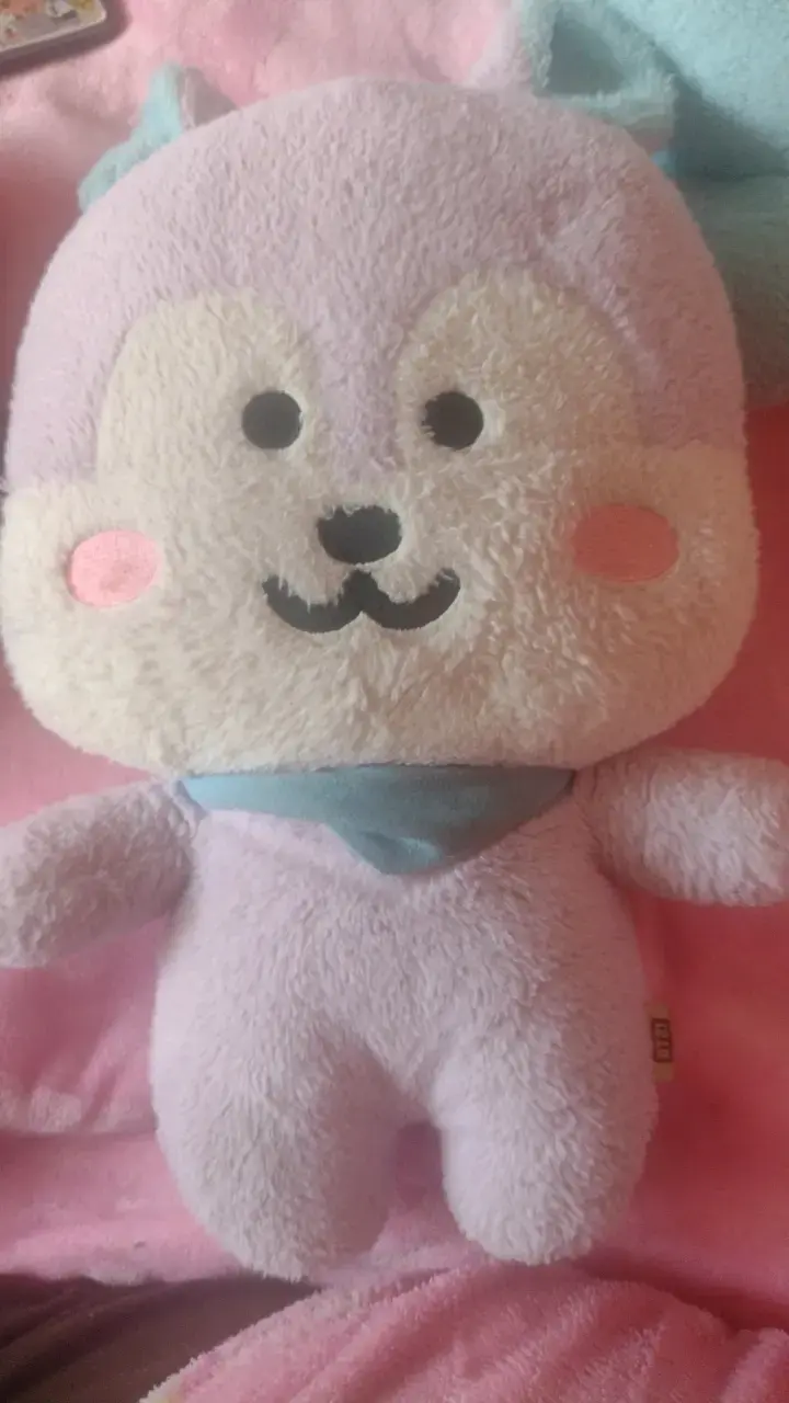Peluche de mang de miniso