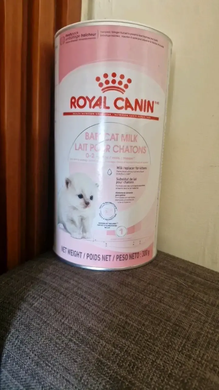 Leche para gatitos Royal Canin 300g - 1